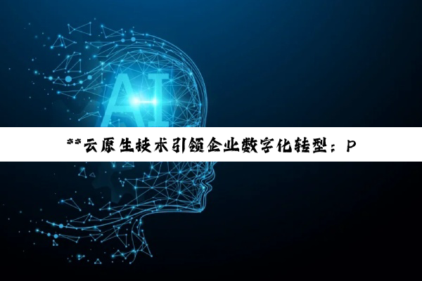 **云原生技术引领企业数字化转型：PaaS平台创新与实践深度剖析**